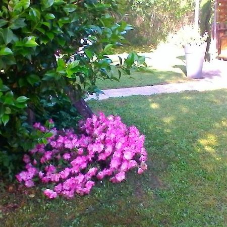 Le Clos Des Palombes Wifi Climatisation 圣皮埃尔杜山 外观 照片