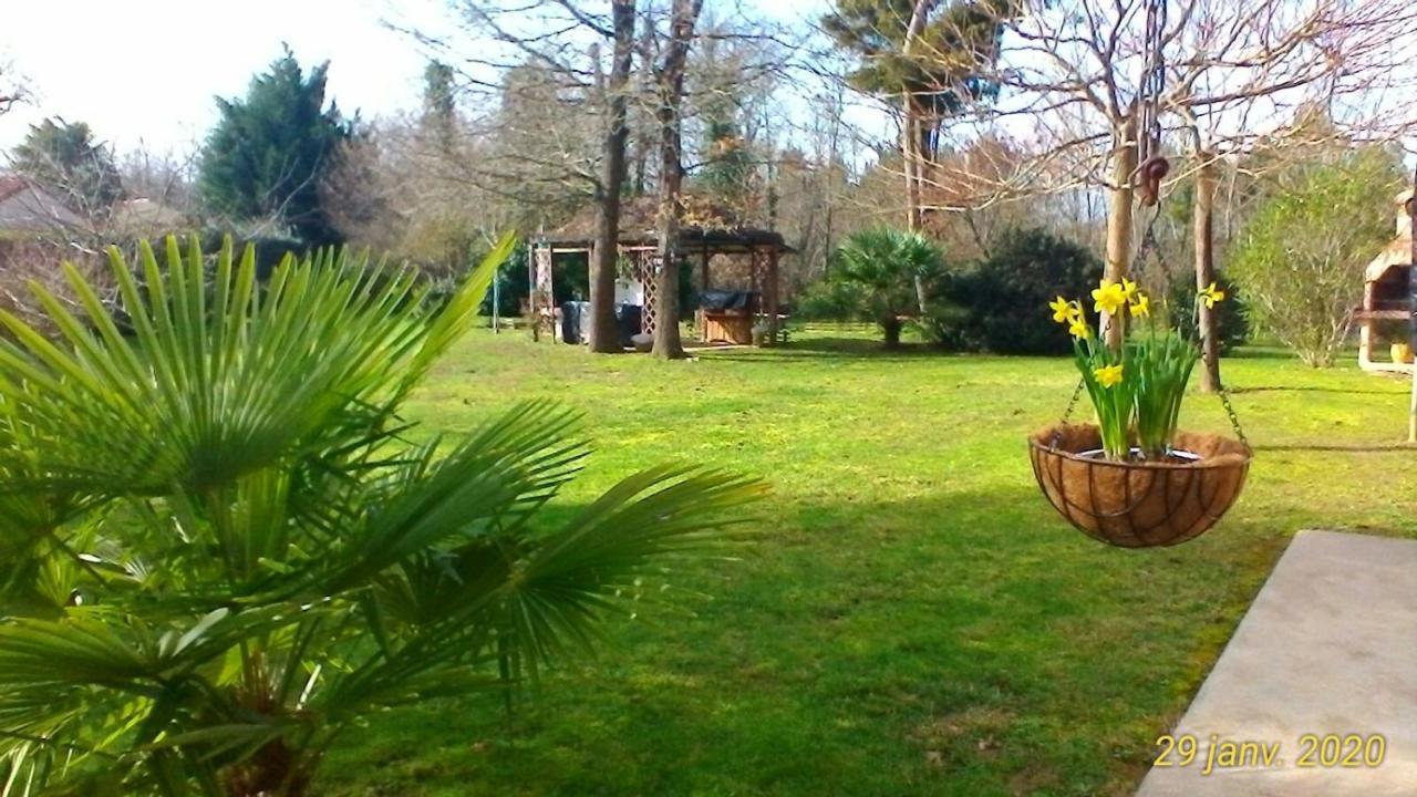 Le Clos Des Palombes Wifi Climatisation 圣皮埃尔杜山 外观 照片