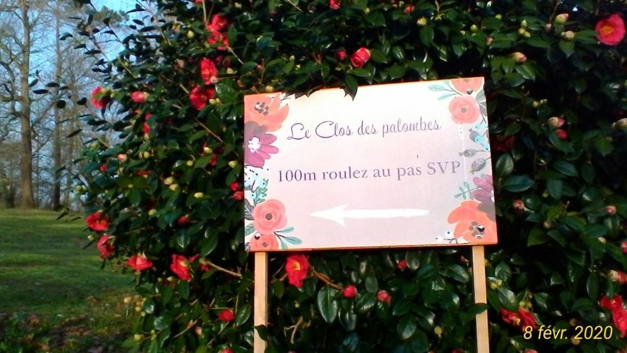 Le Clos Des Palombes Wifi Climatisation 圣皮埃尔杜山 外观 照片