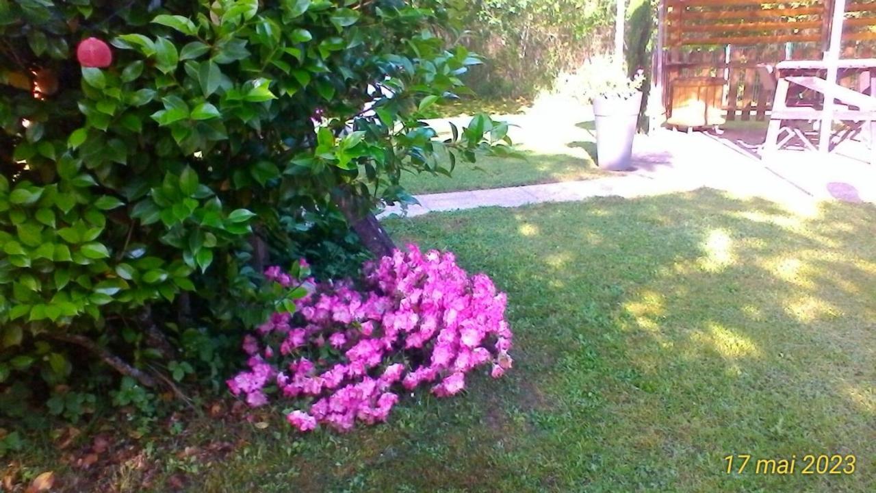 Le Clos Des Palombes Wifi Climatisation 圣皮埃尔杜山 外观 照片