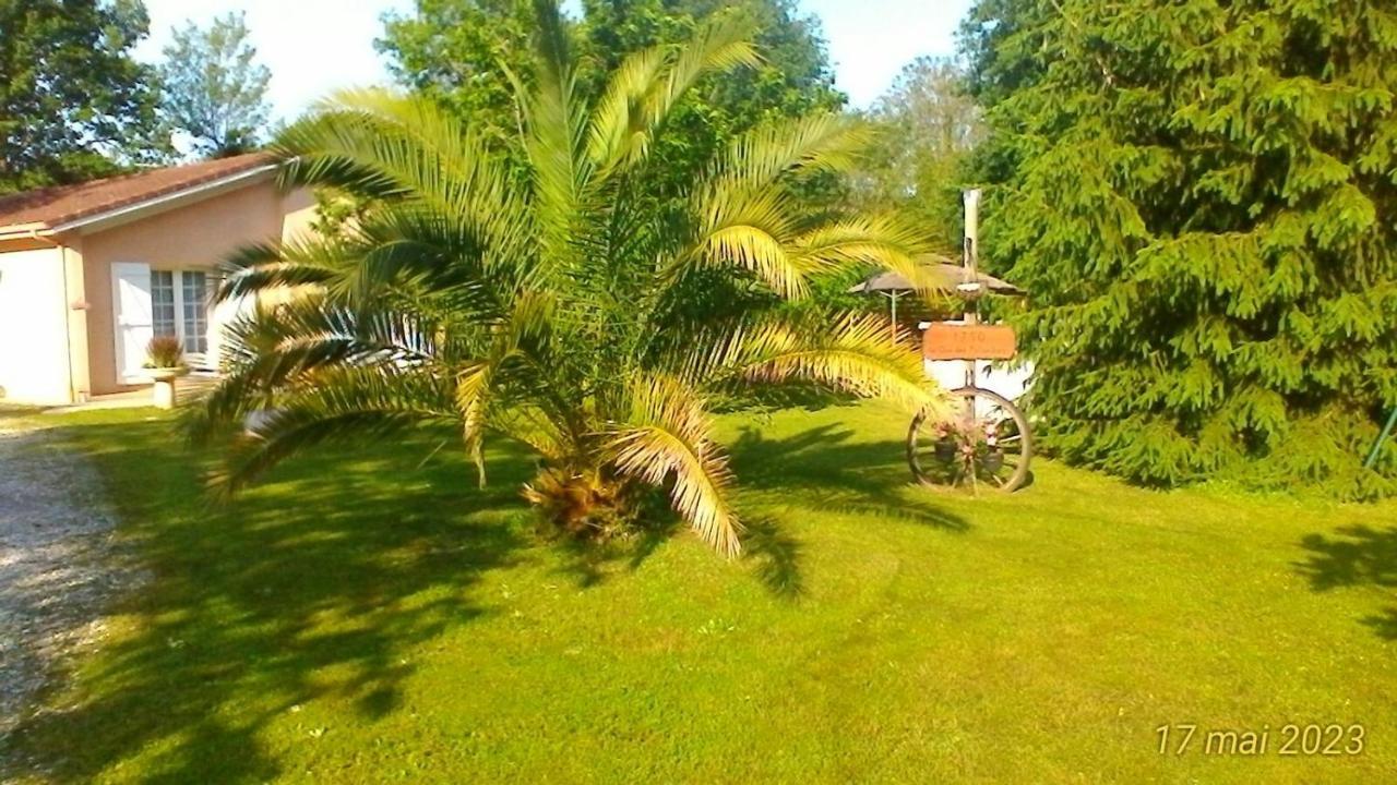 Le Clos Des Palombes Wifi Climatisation 圣皮埃尔杜山 外观 照片
