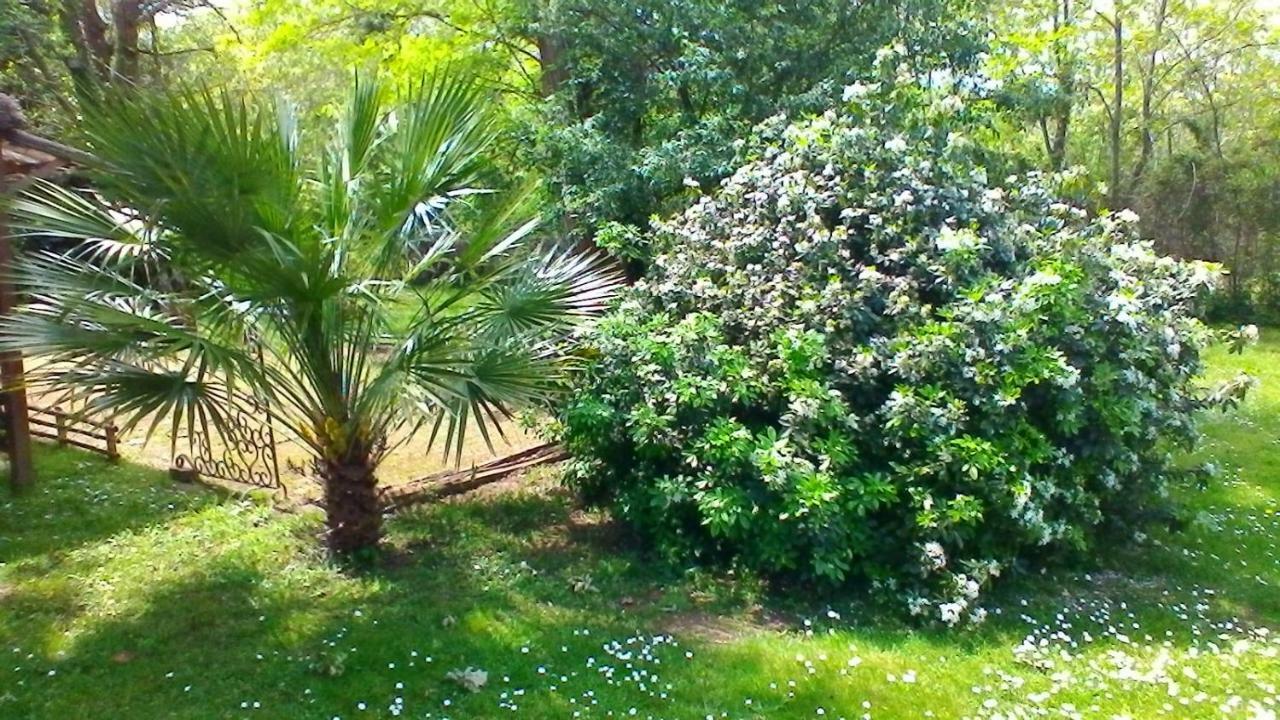 Le Clos Des Palombes Wifi Climatisation 圣皮埃尔杜山 外观 照片